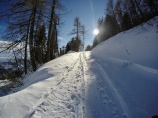 DCIM100GOPROG0180878.