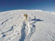 DCIM100GOPROG0281017.