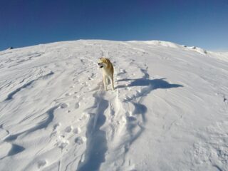 DCIM100GOPROG0281017.