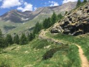 Sull'Altavia a Teppelunghe, il sentiero curva e si addentra nella Valle dell'Urtier