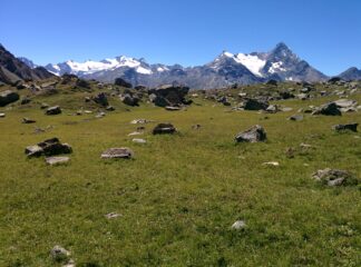 La Grivola vista dai pascoli di Arpisson