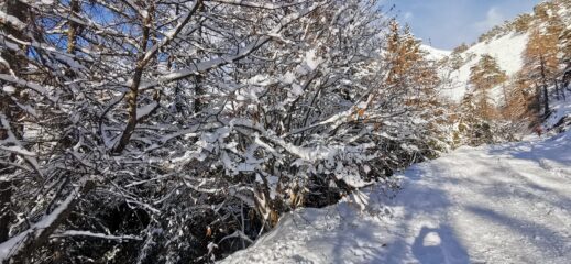 ambientino invernale lungo la stradina militare seguita in salita