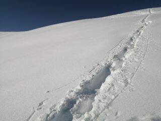 Gran discesa in farina 