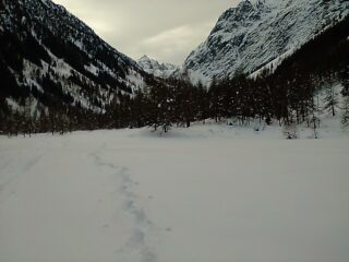 In arrivo su Pian della Regina, con neve 'zuccherina'          