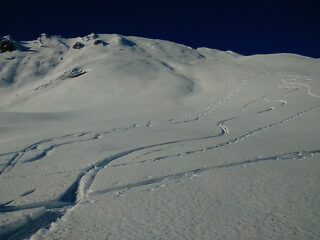 Ieri: neve bellissima sul pendio sud sotto la vetta