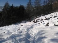 Il tratto in piano del sentiro 010