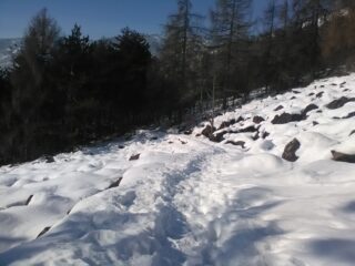 Il tratto in piano del sentiro 010