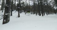 Tanti salti tra alberi caduti e pietroni sommersi