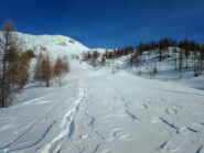 qua farinella da riporto...