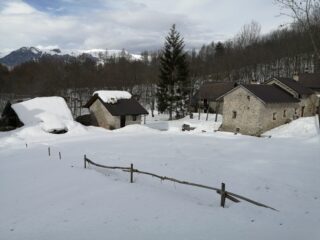 Case a Borgata Carter al ritorno