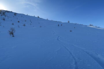 nel breve tratto prima del bosco un pò di farina