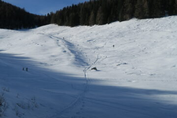usciti dal bosco ultimo tratto prima della stradina con farina 5 stelle 