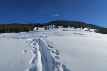 qui il vento non è arrivato