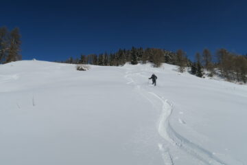 anche in basso bella farina