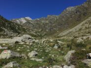 Prima dell'attraversamento del Chiusella a quota 1640 ca, dopo l'Alpe Pra' di Vico. Da queste parti il bivio per la valletta dei Corni, pare, come tramandatomi (io non ho visto alcun segno)