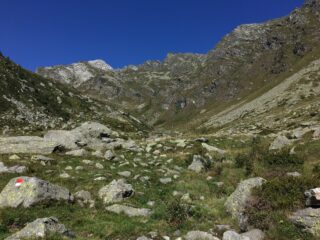 Prima dell'attraversamento del Chiusella a quota 1640 ca, dopo l'Alpe Pra' di Vico. Da queste parti il bivio per la valletta dei Corni, pare, come tramandatomi (io non ho visto alcun segno)