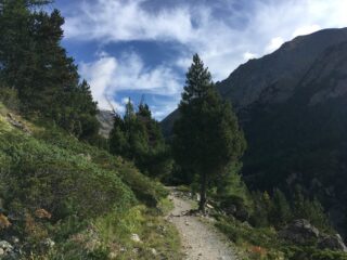 Il sentiero a mezza costa che si addentra nel vallone, dopo Gimillan