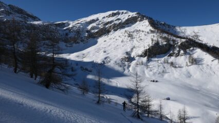 salendo nel bosco Intersile