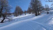 powder