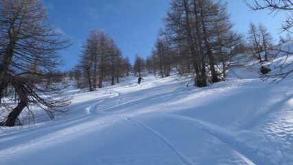 powder