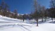 parte centrale