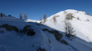 cima del M.Bert