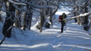 ultimo tratto di percorso nel bosco prima di uscire in cima