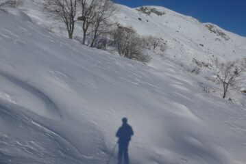 Ombre sulla neve