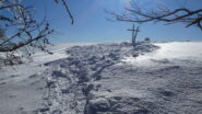 sbucati fuori dal bosco ecco la cima!