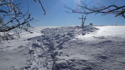 sbucati fuori dal bosco ecco la cima!