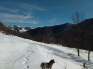 Pascoli sotto le Case Bosso