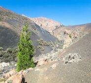 Paisajes Lunares Negros