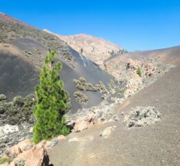 Paisajes Lunares Negros