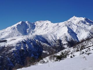 La bella dormiente.