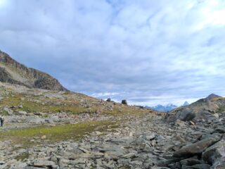 Il pianoro sotto il Colle di Laures, prima della risalita a sinistra al Col di Arbolle