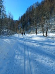 pedoni in mezzo alla pista di salita verso Ribba