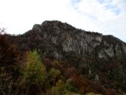 Succhello