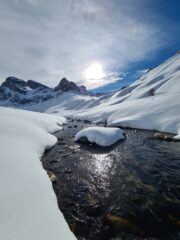 Torrente Ellero