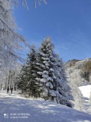 magia d'inverno