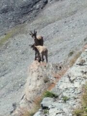 Nei pressi del ricovero di quota 2913.