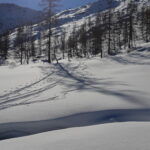 Il bel pendio canale che sale all'Alpe Vallonetto