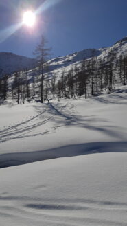 Il bel pendio canale che sale all'Alpe Vallonetto