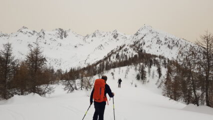 Al Doss guardando verso Cima Campione