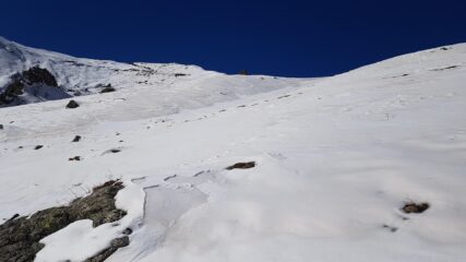 scodinzoli sul firn 