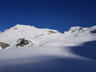 Blue commovente oggi