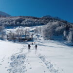 sullo sfondo l'alpe Bruno Piacentin al pian della Sella