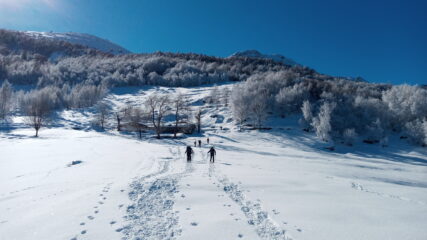 sullo sfondo l'alpe Bruno Piacentin al pian della Sella