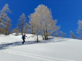 In salita su manto liscissimo