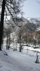 Nel bosco