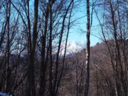 Alla Sella di Prerro, uno dei pochi punti dai quali si ha una visione, seppure parziale, del Monte Rosa.